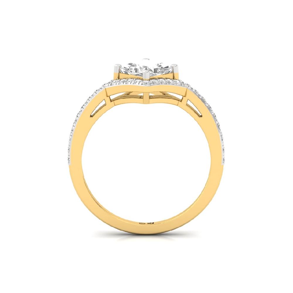 Celestial Brilliance Round Cut, Princess Cut Lab grown Diamond Solitaire Ring