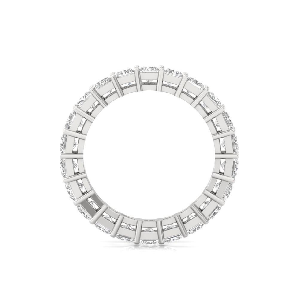 Princess Lab Grown Diamond Full Eternity Sliver & Gold Ring